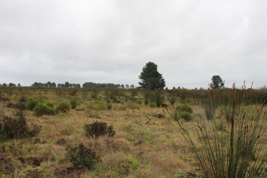 0 Bedroom Property for Sale in Riversdale Rural Western Cape